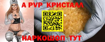 тгк Канаш